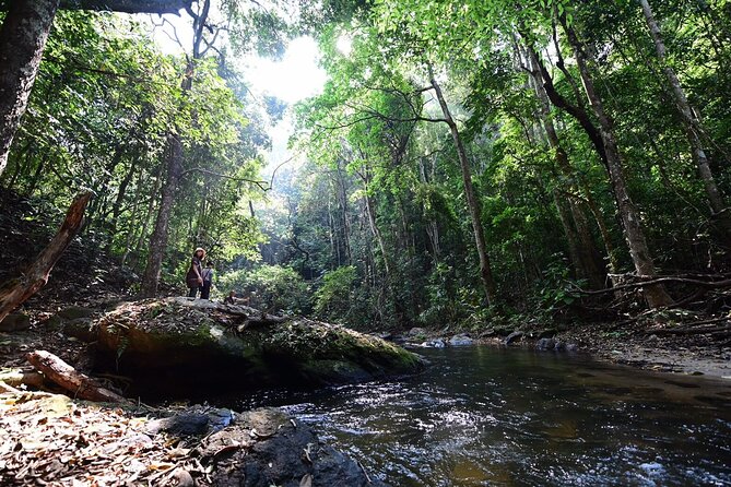Private All-Inclusive Doi Inthanon & Pha Dok Siew Waterfall Tour - Royal Twin Pagodas: Phra Mahathat’s pair of monuments