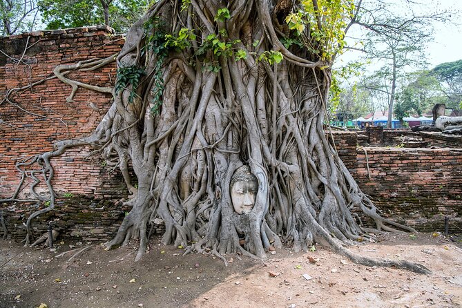 Private Ayutthaya Day Tour from Bangkok - Price and value: is $167.13 per person fair for a private UNESCO day?