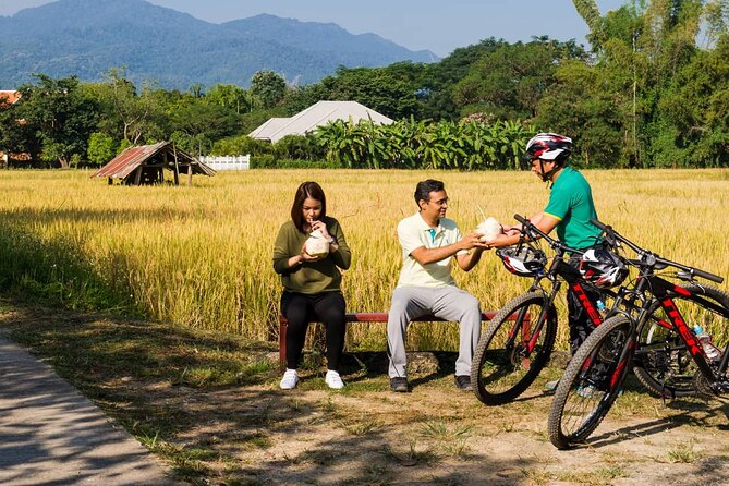 Private Bicycle Tour to Chiang Mai and Thai Cooking Class - Morning start in Umbrella Village and the road to San Kamphaeng