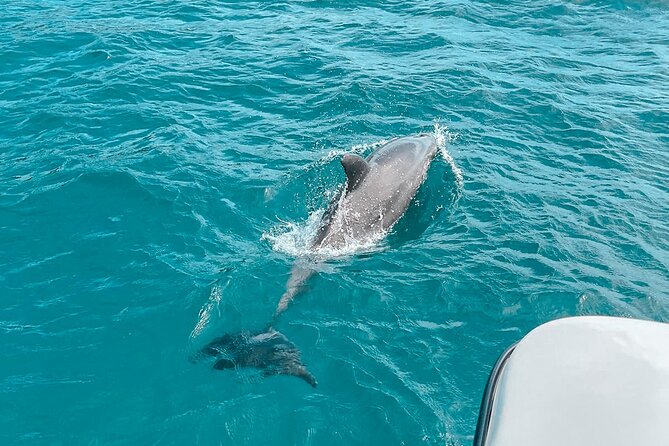 Private Boat Tour with Dolphin Spotting and Snorkelling from Phuket - The morning start at 5 Star Marine: briefing, refreshments, and luggage control