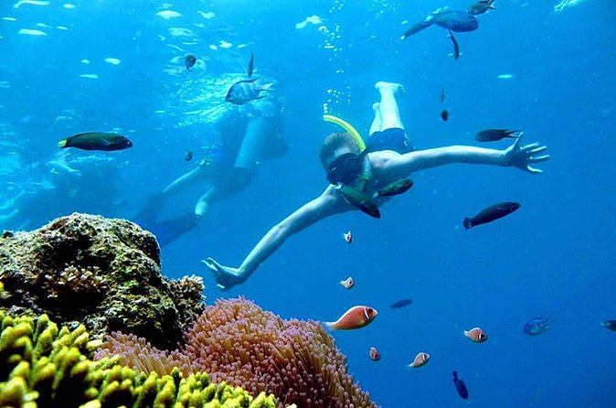 Private Charter boat to Angthong Marine Park - Customizing your day inside Angthong Marine Park