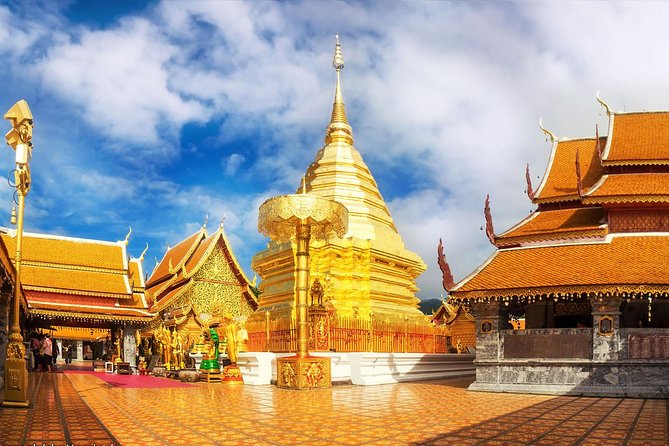 Private Chiang Mai City Tour including Wat Doi Suthep, Wat Suan Dok (SHA Plus) - Wat Phra Singh and Wat Chedi Luang: Lions, Monks, and a Pagoda With a Scar