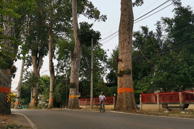 Private Chiang Mai Half-Day Bike Tour - Pickup, bike fitting, and the real start time game