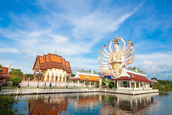 Private Customized Tour with Driver in Koh Samui - Price and Value at Around $37.77 per Person