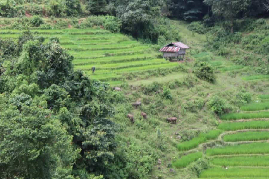 Private Doi Inthanon, Nature Trail, Wat Phra That Doi Kham - FAQ