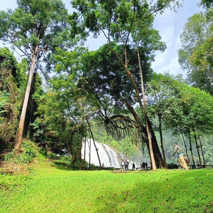 Private Doi Inthanon, Nature Trail, Wat Phra That Doi Kham - Should you book this private Doi Inthanon and Doi Kham combo?