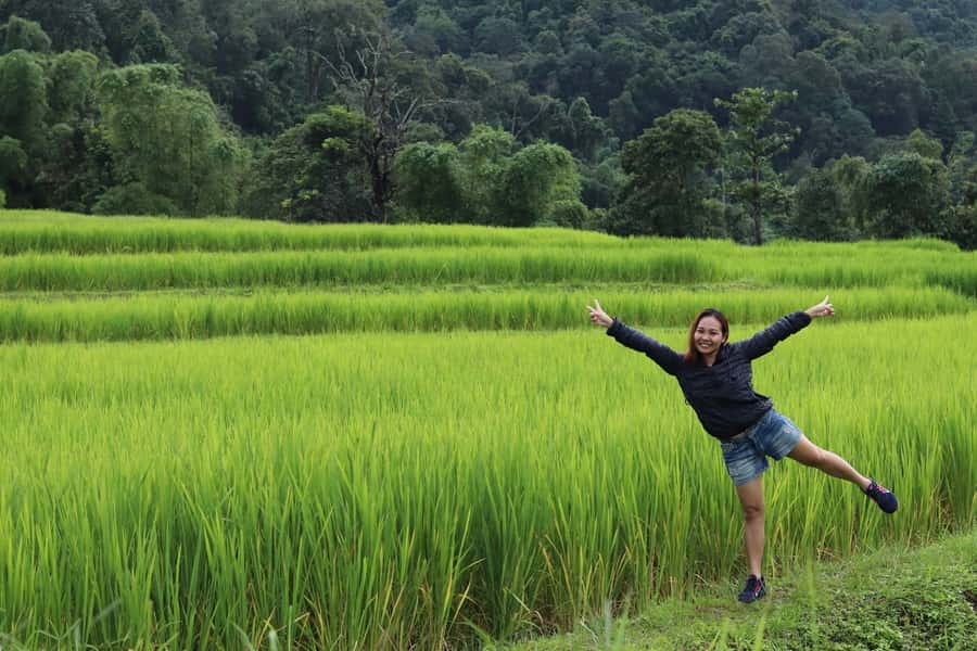 Private Doi Inthanon With Trekking Pha Dok Siew Nature Trail - From Chiang Mai to Doi Inthanon: Pickup, Comfort, and Timing