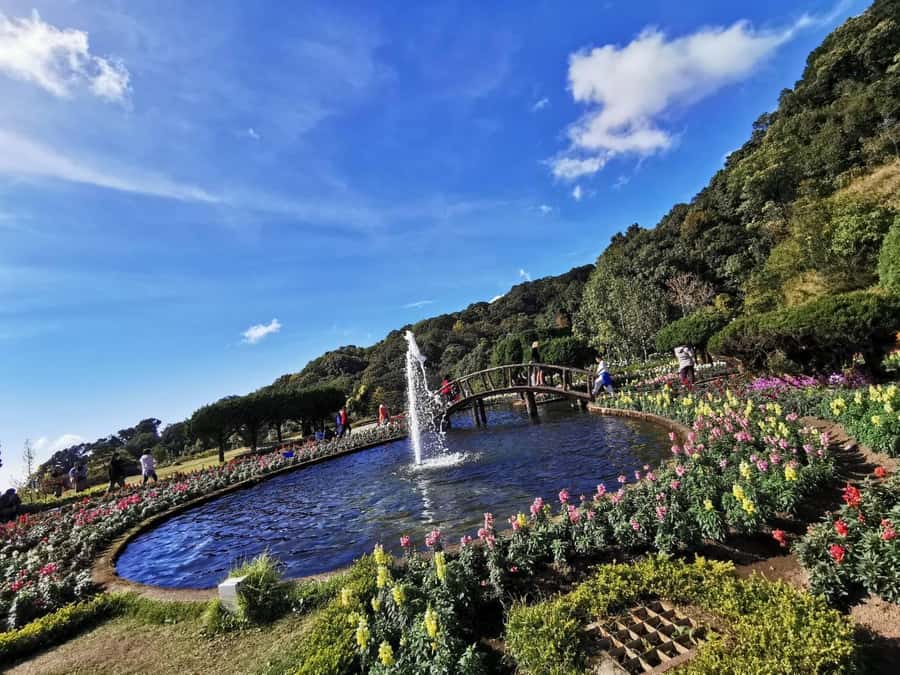 Private Doi Inthanon With Trekking Pha Dok Siew Nature Trail - The Pha Dok Siew Nature Trail Trek: The Part That Makes This Tour