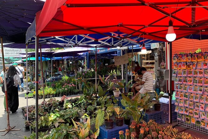 Private Exclusive Guided Chatuchak Weekend Market Shopping Tour - Lunch, pacing, and where your time goes inside the market
