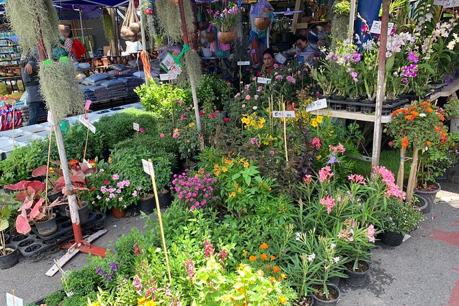 Private Exclusive Guided Chatuchak Weekend Market Shopping Tour - Should you book this Chatuchak Weekend Market tour?