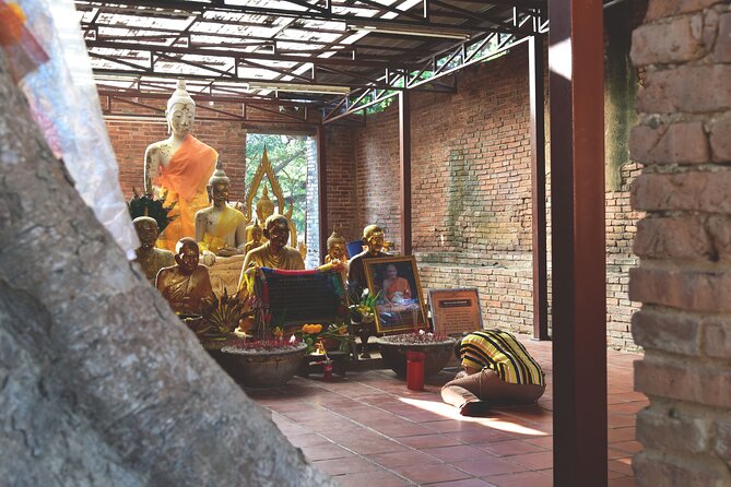 Private Excursion to Ayutthaya, World Heritage site and Ang-Thong Discovery - Guide and private-tour feel: what makes it work