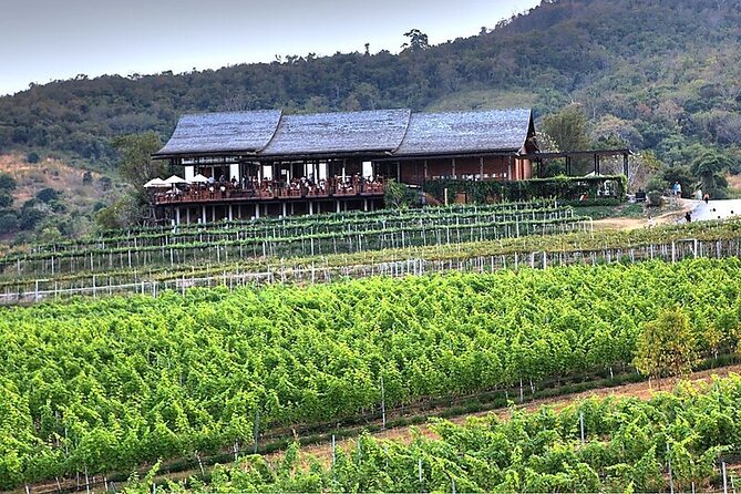 Private Experience of Wine Tasting Hua Hin in Monsoon Valley - Key highlights you should care about
