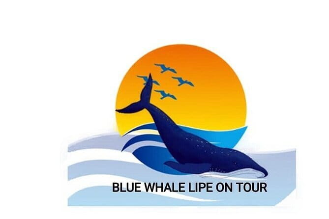Private Experience with Fishing, Barbeque, Sashimi and Snorkeling - Key Highlights You Should Care About