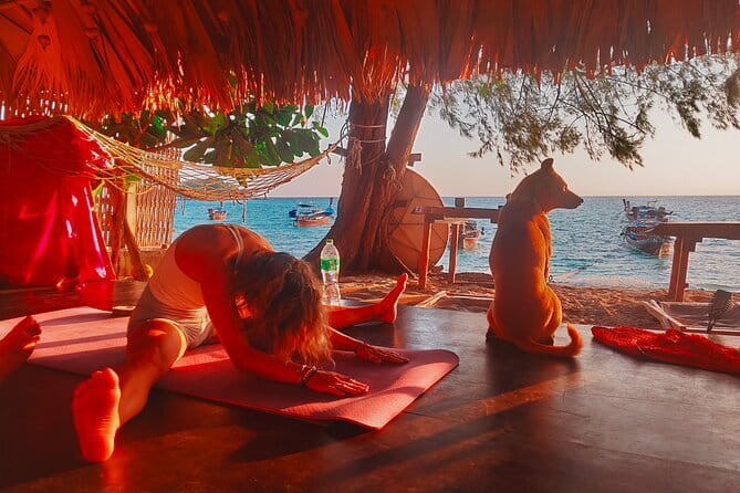 Private Experience with Fishing, Barbeque, Sashimi and Snorkeling - Snorkeling Where the Water Looks Right on the Day