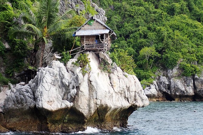 Private Full-Day Blue Dragon Yacht for Snorkeling Koh Tan & Visit Pink Dolphin - Ko Mat Sum Pig Island and the Weather Plan: What to Expect at the Wild Pig Beach