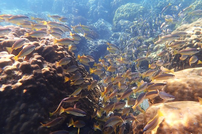 Private Full-Day Blue Dragon Yacht to Angthong National Marine Park - Ko Nai Phut sea kayaking and the cliff-coast feeling