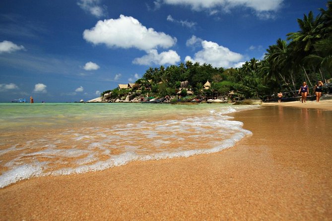 Private Full-Day Red Dragon Yacht for Snorkeling Koh Tan & Visit Pink Dolphin - Key points that matter before you go