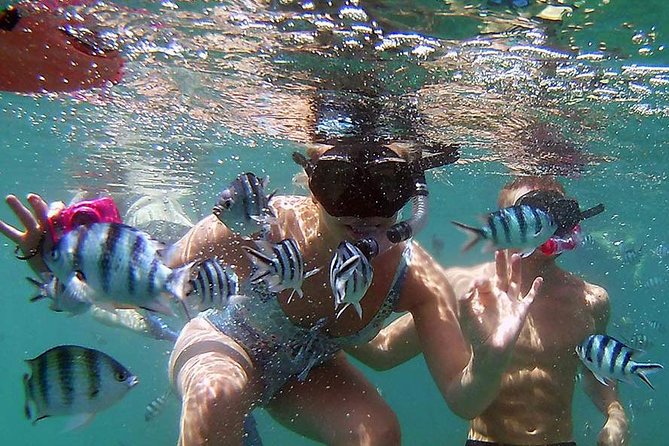 Private Half-Day Red Dragon Yacht for Snorkeling Koh Tan & Visit Pig Island - Timing on a 5-Hour Charter: How the Day Actually Flows