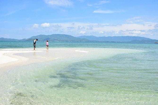 Private Half Day Trip to Pig Island and Koh Tan by Long Tail Boat - Logistics Made Simple: Start at Thong Krut Pier, End Back There