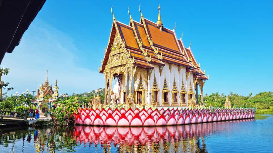 PRIVATE ISLAND TOUR ECO AROUND KOH SAMUI HALF DAY EXCURSION - Hin Ta & Hin Yai and Overlap Stone 2: myth-rocks and a calmer pause