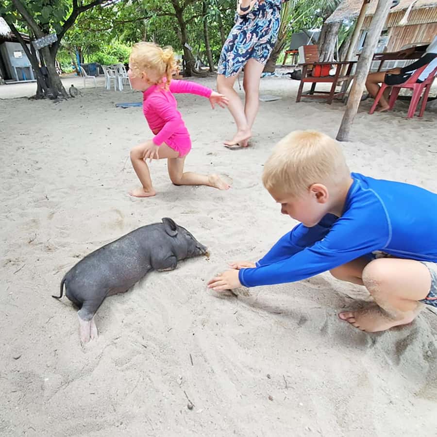 PRIVATE KOH SAMUI TOURS - SECRET ISLANDS BOAT TRIP - Private Start Times and the Smooth Thong Krut Transfer