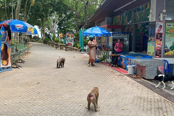 Private local city tour with english speaking driver - Wat Chalong (Wat Chaitararam): a respectful, meaningful temple stop