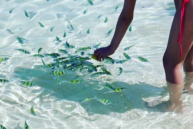Private Longtail Boat Tour to Hong Islands - Lunch on the Beach: Thai Food, Fruit, and Boat Cooler Drinks