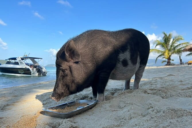 Private Longtail Boat Tour to Koh Madsum and Koh Tan with Lunch - Price and Value: Is $73.64 Worth It?