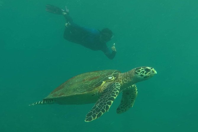 Private Phi Phi & 4 Islands Sunset Cruise by Speedboat - from Krabi - Bida Nok, Monkey Beach, and Phra Nang Cave Beach: mix of action and reset