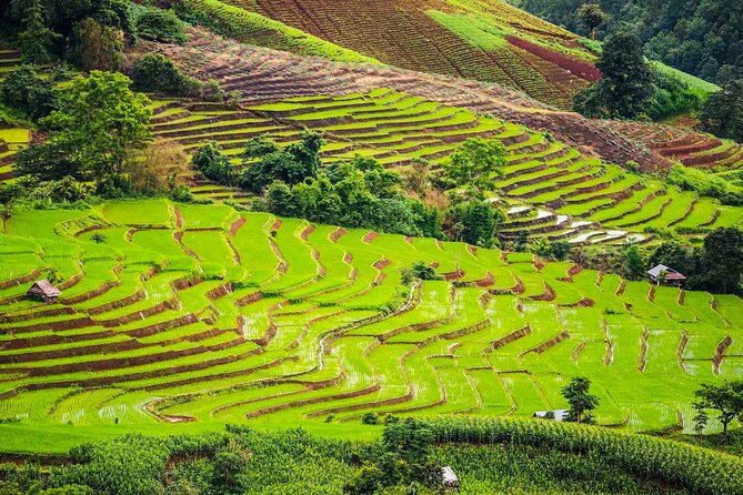 Private Program Discovery Chiang Mai - Half/Full day / Night tour - Tha Pae Walking Street (weekends): art, products, and temple-hopping at night