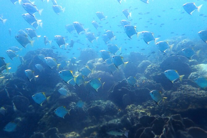 Private Snorkeling trip at Koh Kood - Three Reef Stops: What Each Moment Is For