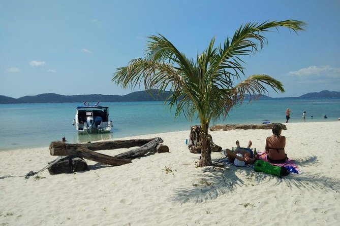 Private Speedboat Koh Tan & Pig Island Snorkeling from Samui - Why Koh Tan and Koh Matsum are worth a private boat day