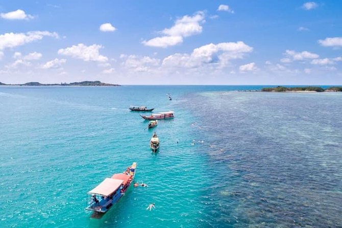 Private Speedboat Koh Tan & Pig Island Snorkeling from Samui - Koh Tan Stop: a quieter boat-only island with a short snorkel window
