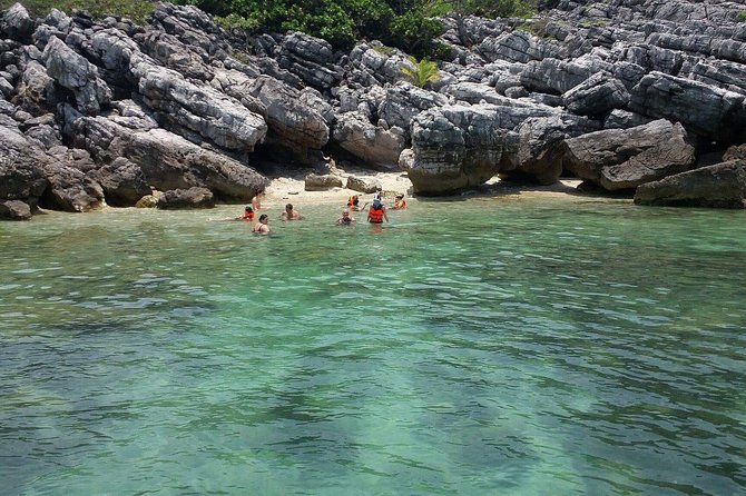Private Speedboat Koh Tan & Pig Island Snorkeling from Samui - Ko Matsum Stop: longer island time to repeat, relax, or switch plans