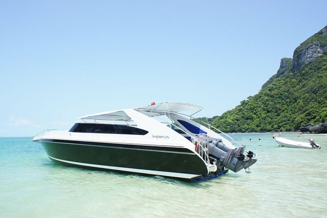 Private Speedboat Koh Tan & Pig Island Snorkeling from Samui - Gear, safety, and comfort on the water