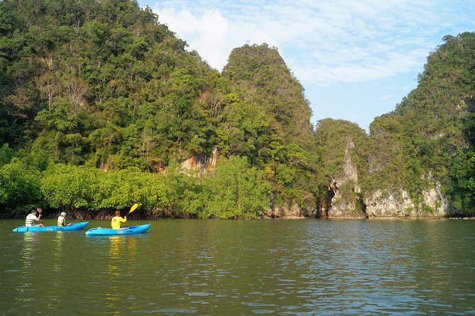 Private Sunset Kayaking at Ao Thalane with BBQ Dinner - Wildlife you might spot (and how to increase your odds)