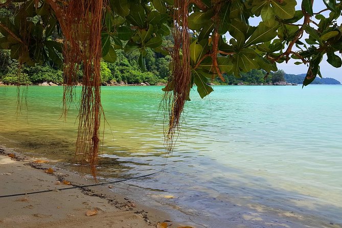 Private Surin Islands Longtail Boat Tour - Key highlights to know before you go