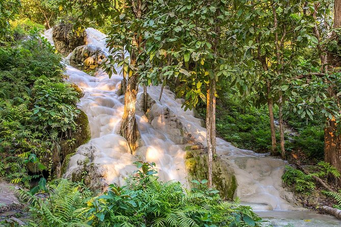 Private Tour: Bua Thong Sticky Waterfalls Tour - Why Bua Thong’s “Sticky” Waterfalls Are So Different