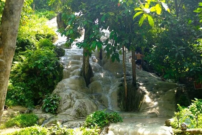 Private Tour: Bua Thong Sticky Waterfalls Tour - Price and Time: Does $105.41 Per Person Make Sense?