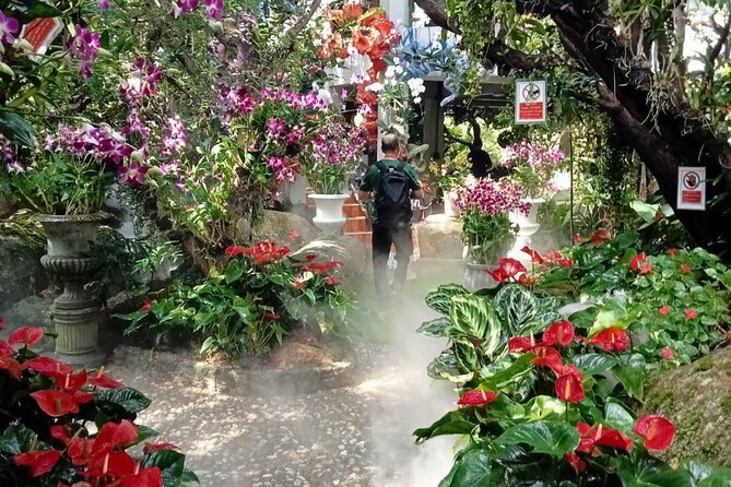 Private Tour Chiang Rai 3 Wonderful Temples & Lalitta Cafe - Lalitta Café: A Well-Planned Break Before the Drive Home