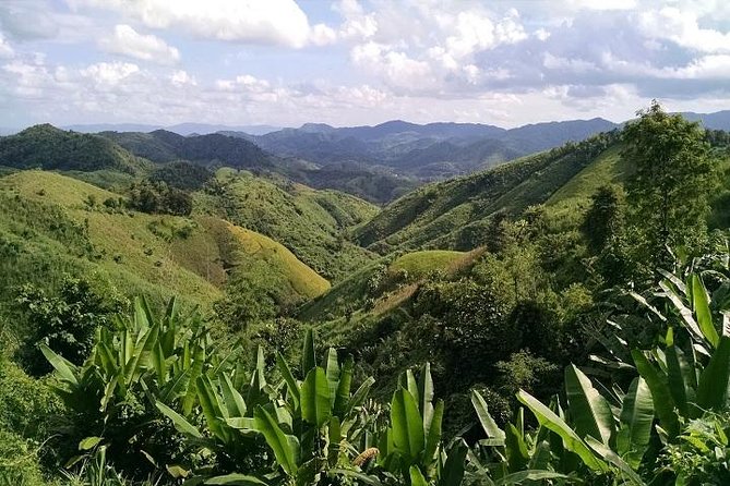 Private Tour: Chiang Rai Golden Triangle Day Trip from Chiang Mai - Comfort, pace, and real-world tips that help you enjoy the day