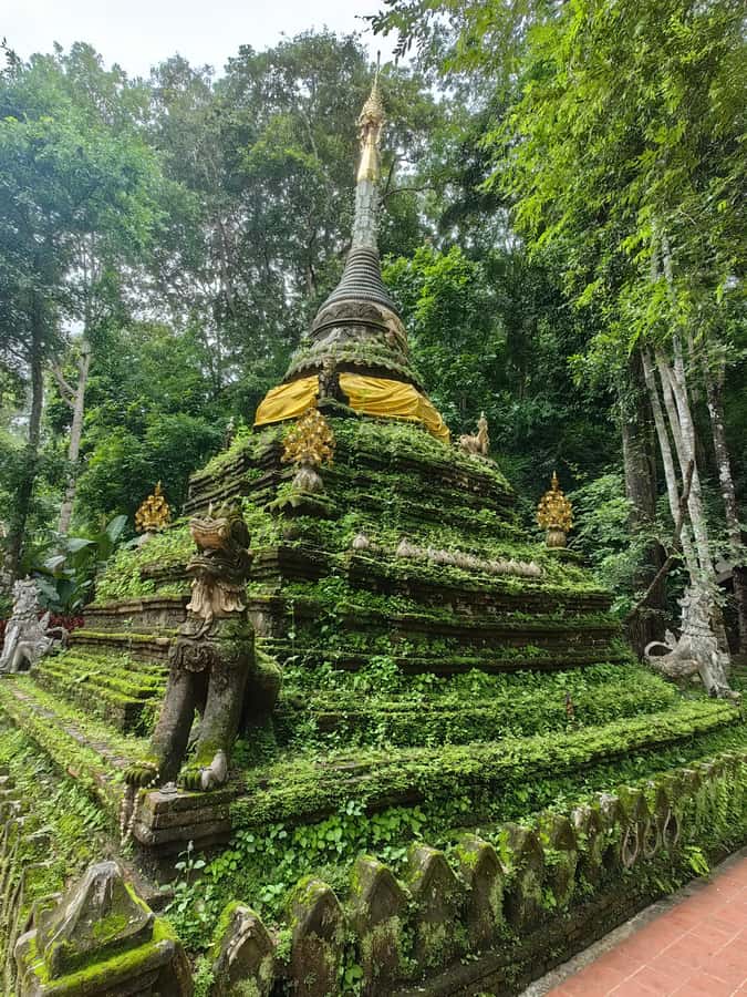 Private tour Chiangmai , Explore hidden gems Lanna temple - Wat Umong’s Tunnels: When the Temple Goes Underground