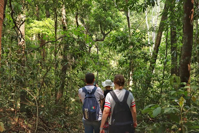 Private Tour Doi Inthanon And Trekking Nature Trail, Chiang Mai - Hmong Market and Rayal Project Stops for Daily Life