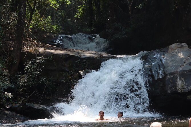 Private Tour Doi Inthanon And Trekking Nature Trail, Chiang Mai - The Austin Advantage: What a Private Guide Changes