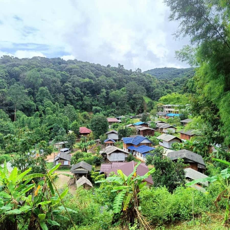 Private Tour Doi Inthanon, Trekking Kew Mae Pan Nature Trail - Who this tour is best for (and who should skip it)