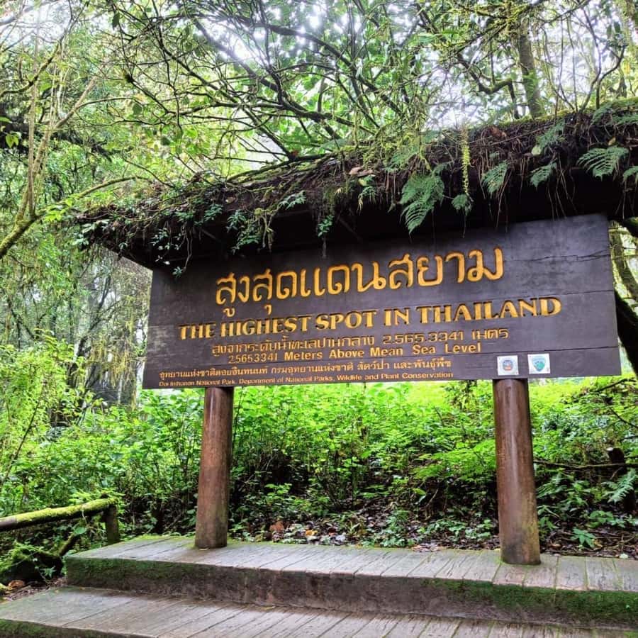 Private Tour Doi Inthanon, Trekking Kew Mae Pan Nature Trail - Ban Mae Klang Luang and the white Karen village coffee