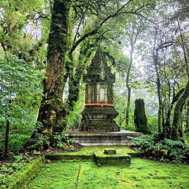 Private Tour Doi Inthanon, Trekking Kew Mae Pan Nature Trail - King and Queen pagodas: viewpoints plus gardens, not just temples