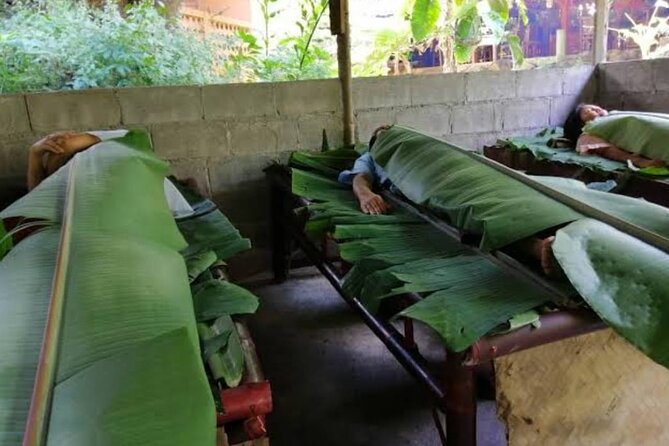Private Tour in Chiang Mai Village Experience Nature - A village day that goes beyond photos in Mae Kampong