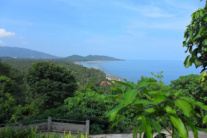 Private Tour Koh Samui - Who should book this Koh Samui private tour