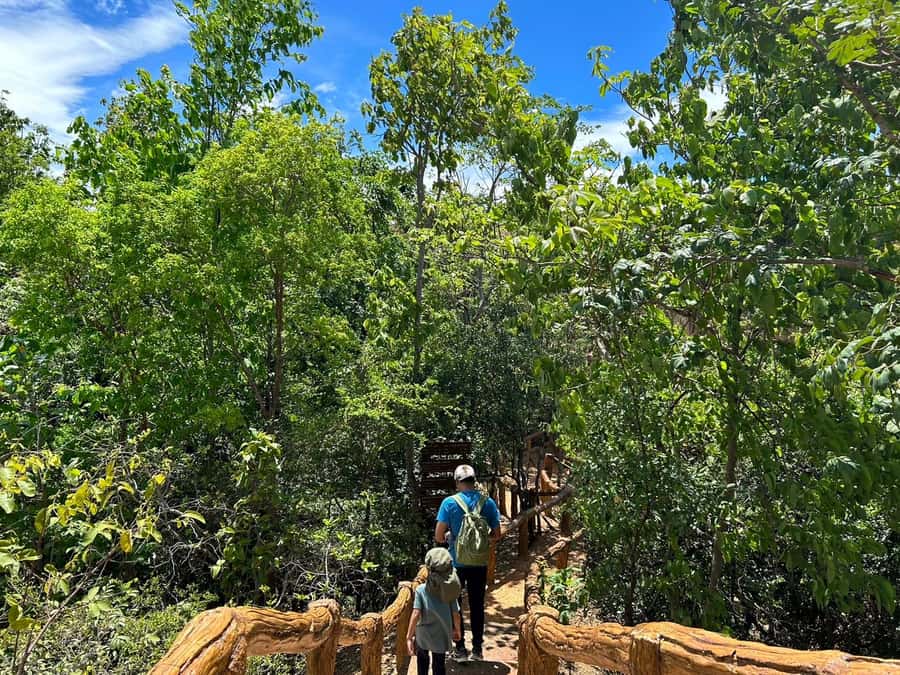 Private Tour Pha Chor Canyon & Doi Inthanon National Park - Timing tips that make the day smoother